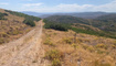 Photo 2 for 15  Kent Cyn
