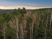 Photo 4 for 10749 E Green Briar Rd