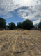 Photo 4 for 261 N Redwood Rd #1