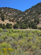 Photo 4 for 8344 S Lower Red Creek Rd. Rd