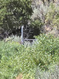 Photo 2 for 8344 S Lower Red Creek Rd. Rd
