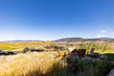 Photo 6 for 7053 E Rising Star Ct