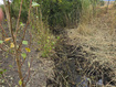 Photo 4 for 9000  N Hwy 91