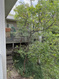 Photo 4 for 1001  Juniper Cir