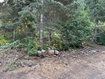 Photo 6 for 49 N Pine Creek Rd