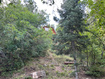 Photo 6 for 49 N Pine Creek Rd