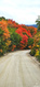 Photo 1 for 5784  Aspen Way