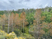 Photo 6 for 10385  Deer Creek Drive