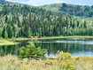 Photo 1 for 10385  Deer Creek Drive