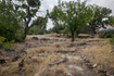 Photo 6 for 3593 E Kerby Ln