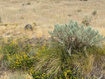 Photo 6 for 29151  Old Lincoln Hwy