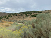 Photo 1 for 29151  Old Lincoln Hwy