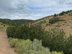 Photo 4 for 29145  Old Lincoln Hwy