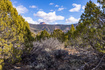 Photo 1 for 3754  Overlook Dr