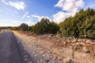 Photo 4 for 3754  Overlook Dr