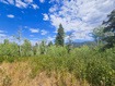 Photo 4 for 33  Pine Ridge Estates Dr