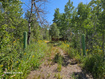 Photo 5 for 11801  Creek Rd #23