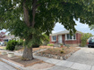 Photo 1 for 727  Post St