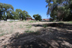 Photo 5 for 1314 E Victor Ln