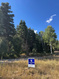 Photo 4 for 23215 N Deer Valley Dr