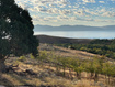 Photo 4 for 910 N Fish Haven Canyon Rd