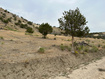 Photo 3 for 19415 N 7150 E