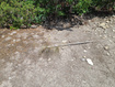 Photo 6 for 9 N Pine Nut Way