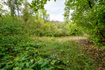 Photo 4 for 1422  Basel Dr