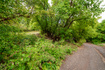 Photo 1 for 1422  Basel Dr