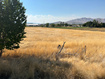 Photo 1 for 4300 S Highway 198