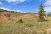 Photo 5 for 6297  Painted Valley Pass