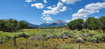 Photo 1 for 129  Deer Creek Rd