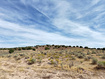 Photo 2 for 9155 W Red Canyon Rd