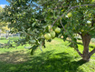 Photo 6 for 125 N 1080 W