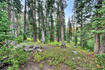 Photo 5 for 12423 E Camp Tuttle Rd
