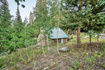 Photo 4 for 12423 E Camp Tuttle Rd