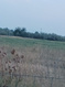 Photo 4 for 1850 W 3600 S
