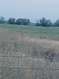 Photo 2 for 1850 W 3600 S