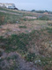 Photo 1 for 1850 W 3600 S