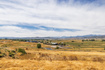 Photo 1 for 1226  Dovetail Dr