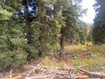 Photo 2 for 2393 S Navajo Dr