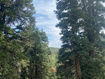 Photo 3 for 2393 S Navajo Dr