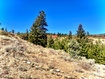 Photo 4 for 1745 W Cedar Ridge Dr