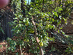 Photo 5 for 722 E 7th Ave