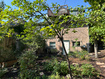 Photo 6 for 722 E 7th Ave
