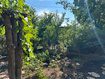 Photo 5 for 722 E 7th Ave