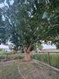 Photo 4 for 465 N 3200 W