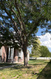 Photo 1 for 107 W 600 N #204