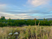 Photo 6 for 9195  Deer Creek Dr