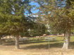 Photo 5 for 3078 S Malablue Dr